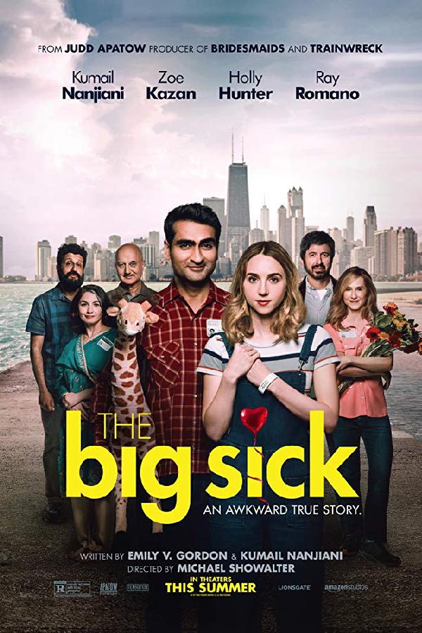 The Big Sick (2017)