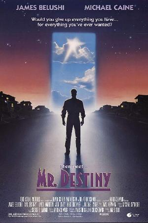 Mr. Destiny (1990)