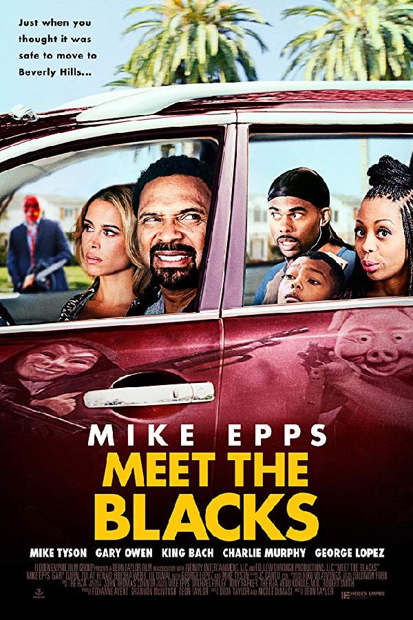 Meet the Blacks (2016)