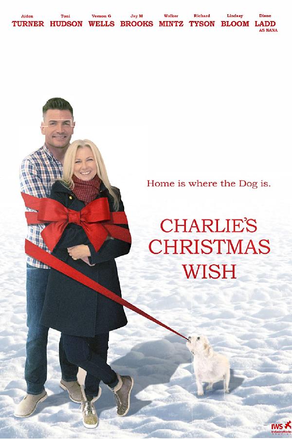 Charlie's Christmas Wish (2020)