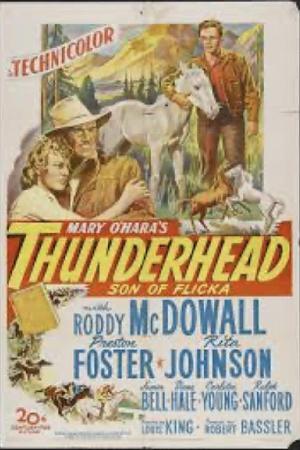 Thunderhead: Son of Flicka (1945)