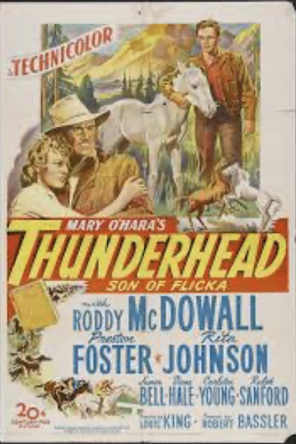 Thunderhead: Son of Flicka (1945)