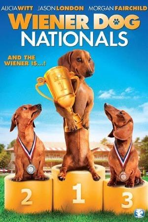 Wiener Dog Internationals (2015)