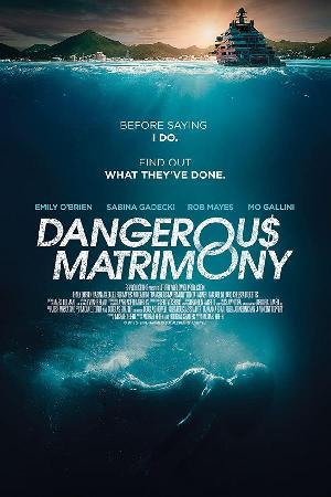 Dangerous Matrimony (2018)