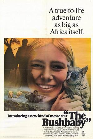 The Bushbaby (1970)