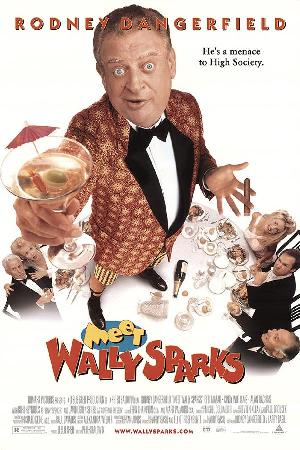 Meet Wally Sparks (1997)