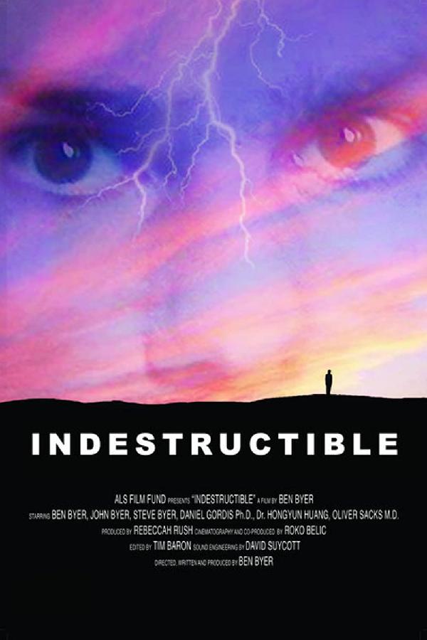 Indestructible (2007)