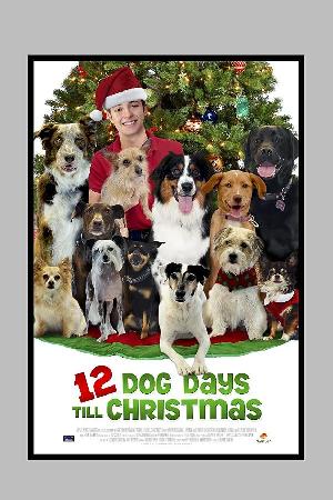 12 Dog Days Till Christmas (2014)