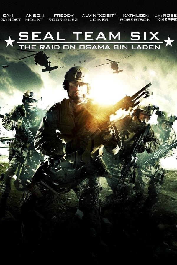 SEAL Team Six: The Raid on Osama bin Laden (2012)