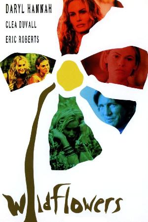 Wildflowers (1999)