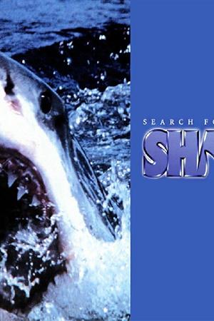 Search for the Great Sharks (1995)