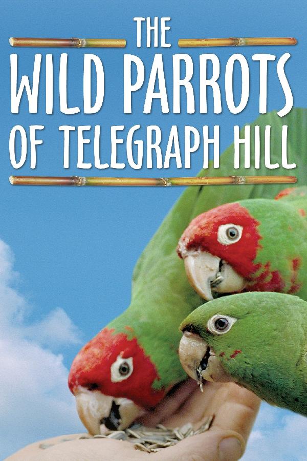 The Wild Parrots of Telegraph Hill (2004)