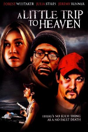 A Little Trip to Heaven (2005)