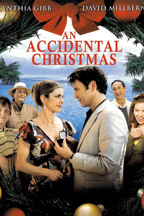 An Accidental Christmas (2007)