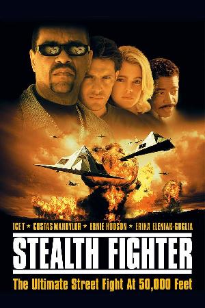 Stealth Fighter (1999)